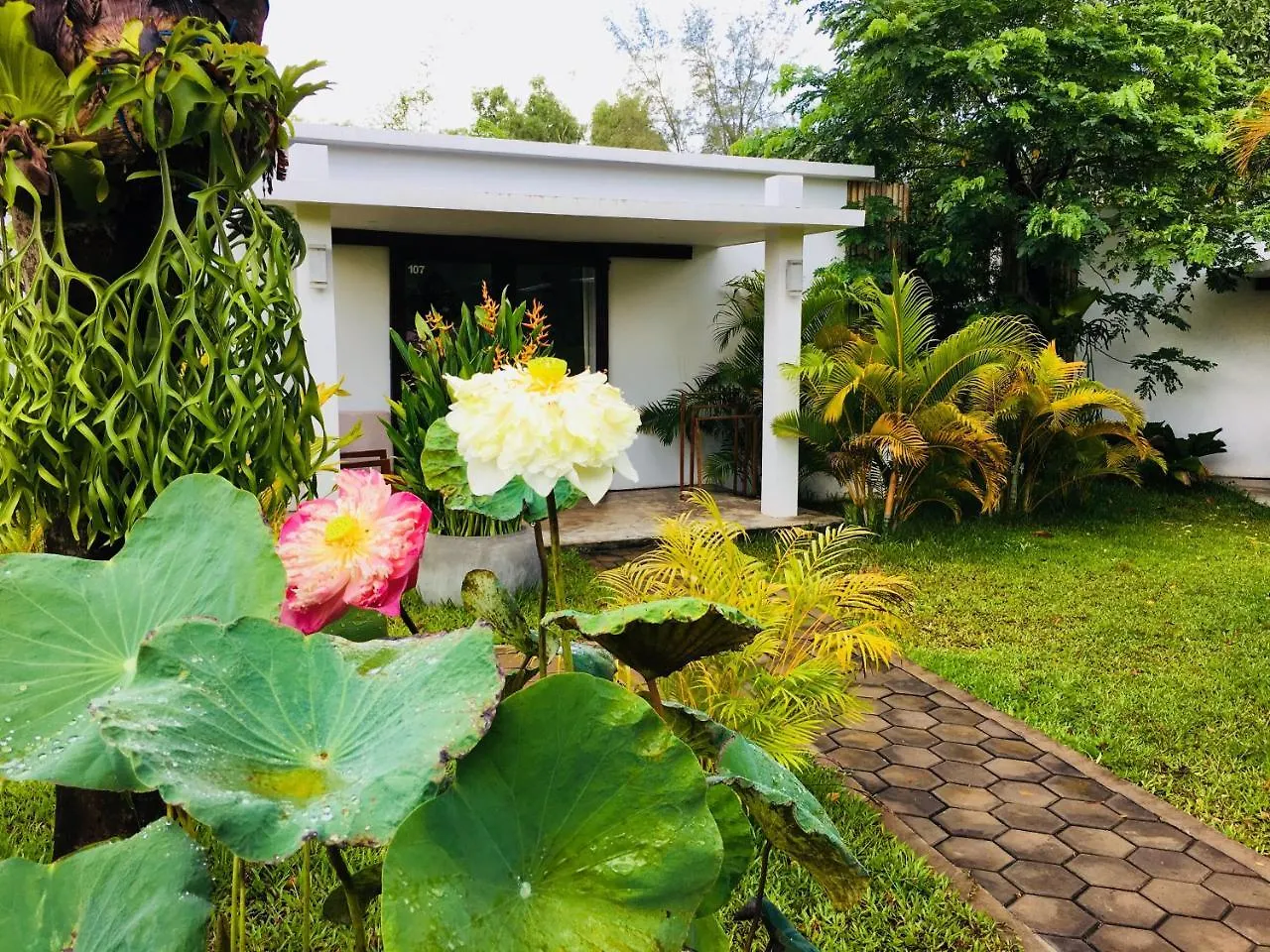 Sahaa Beach Resort Sihanoukville Cambodia
